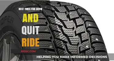 Top Picks for Winter Wheels: Unbeatable Tires for Snow and Ice