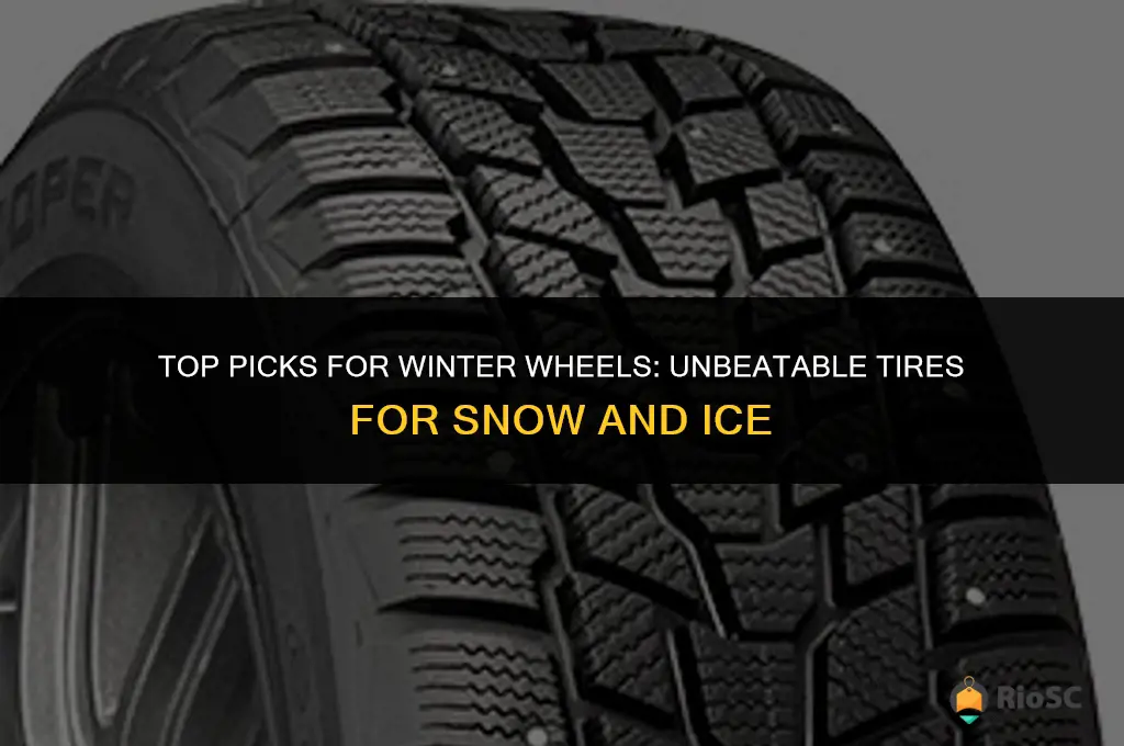best tires for snow and quit ride