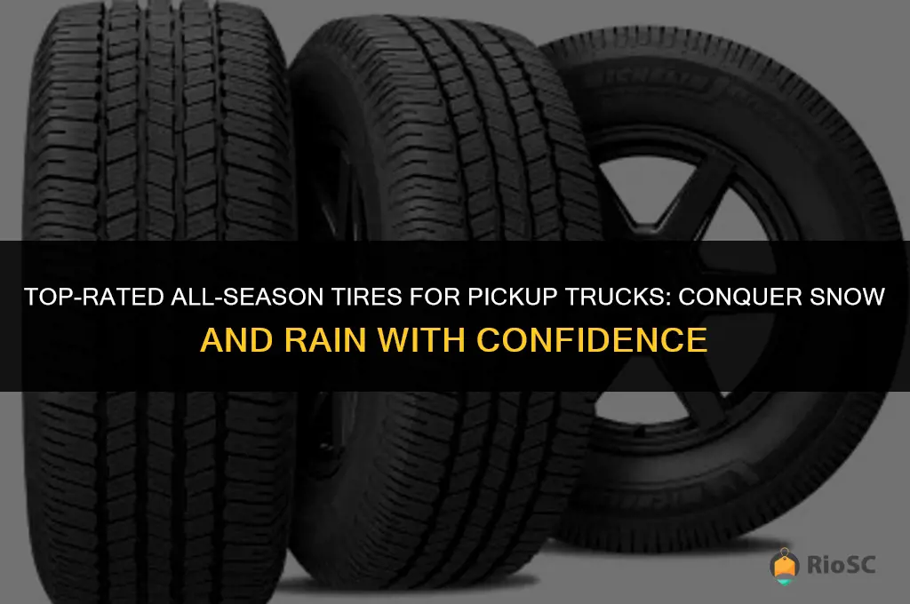 best tires for snow and rain for pickup