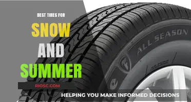 All-Season Excellence: Top Tires for Snow and Summer Performance