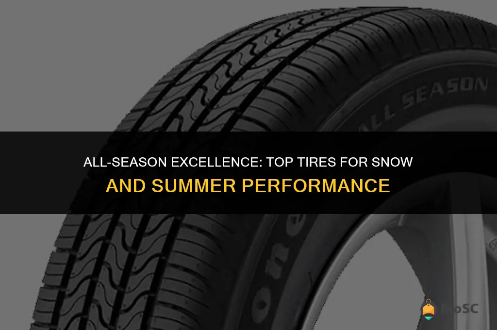 best tires for snow and summer