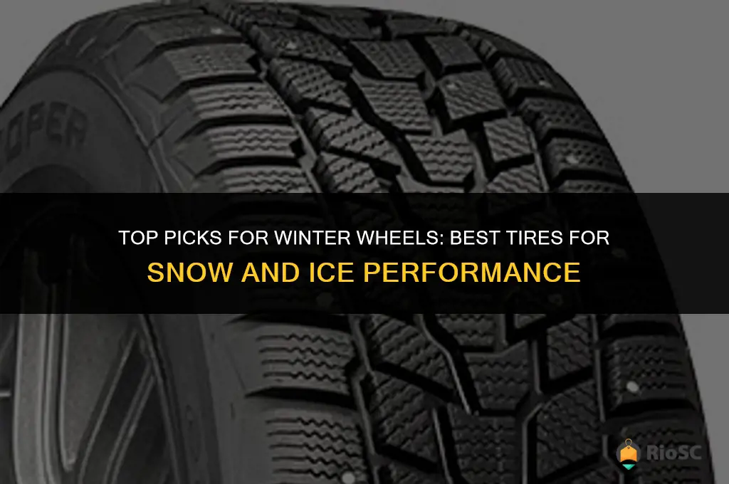 best tires for snow andice