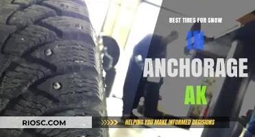 Anchorage's Top Picks: Unbeatable Snow Tires for Winter Warriors