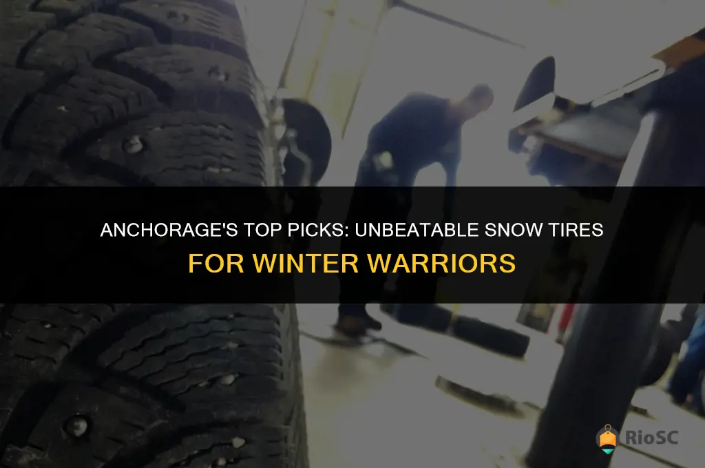 best tires for snow in anchorage ak