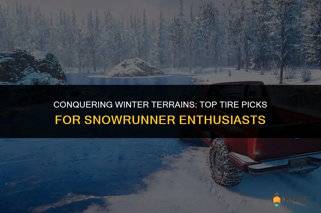 best tires for snow in snowrunner