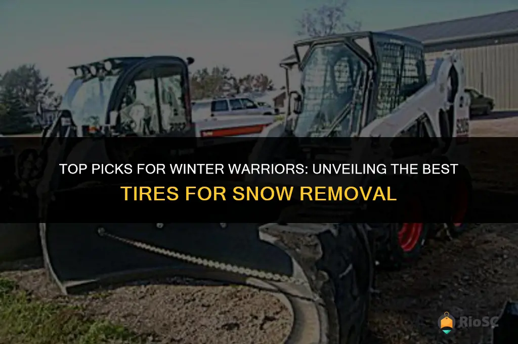 best tires for snow removal