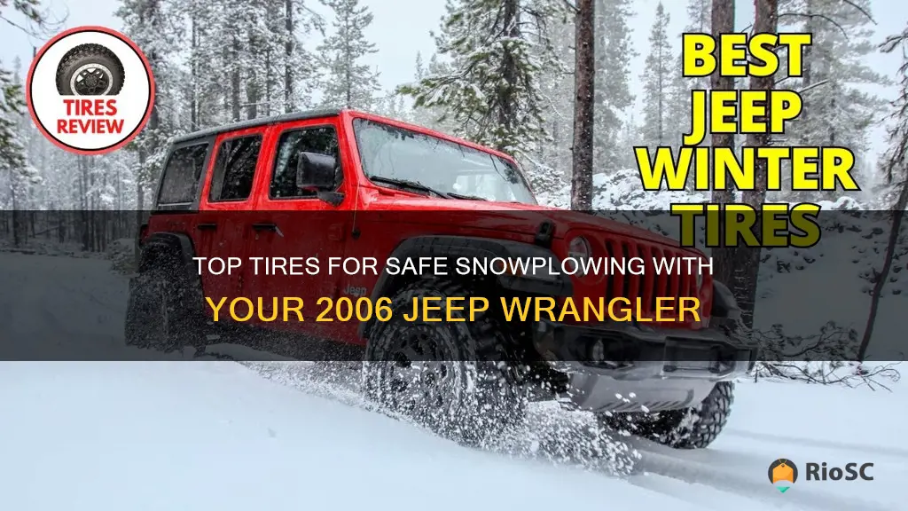 best tires for snowplowing 2006 jeep wrangler