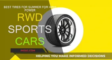 Summer Scorchers: Choosing the Best Tires for Your RWD Sports Car