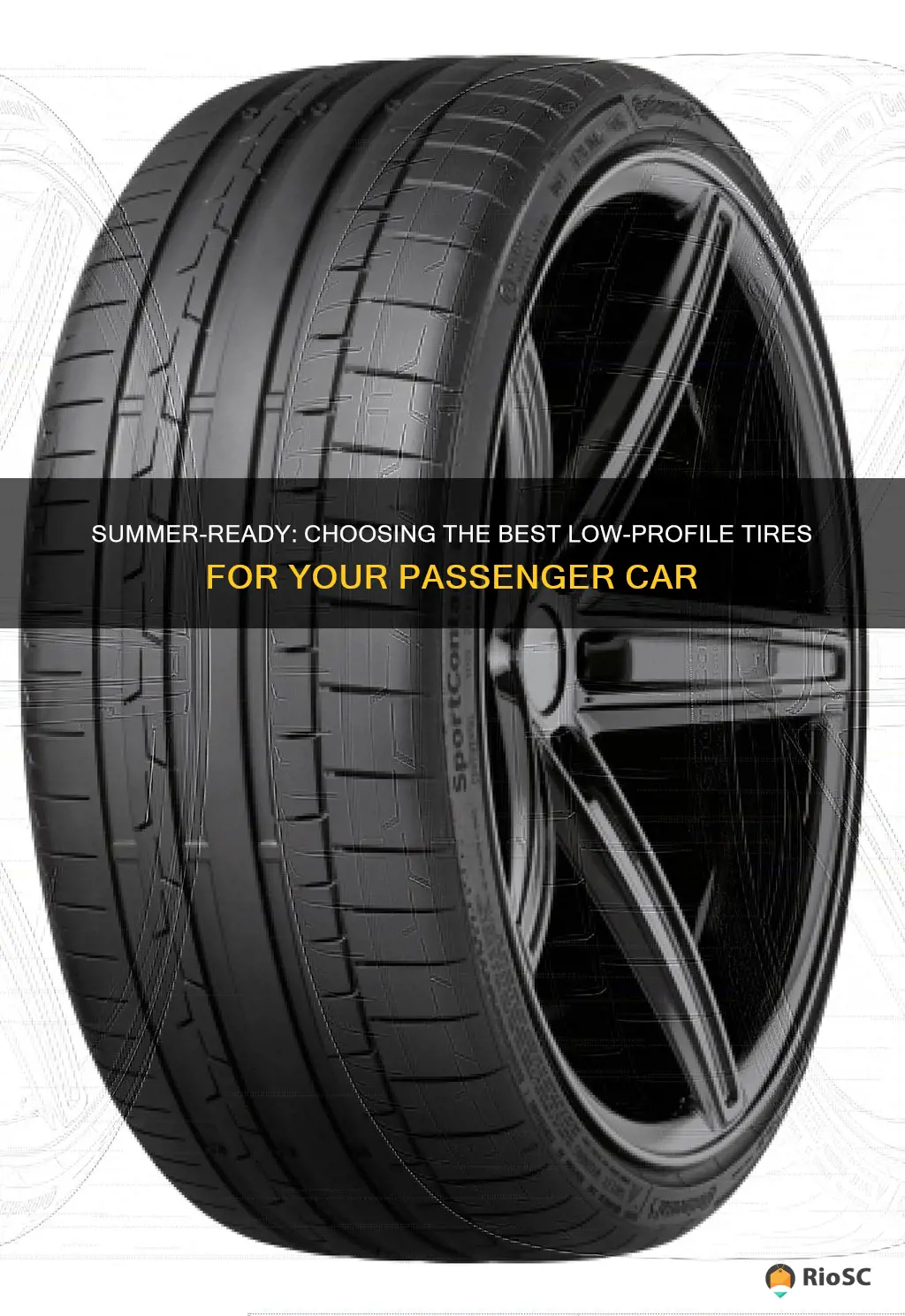 best tires for summer passenger car low profile