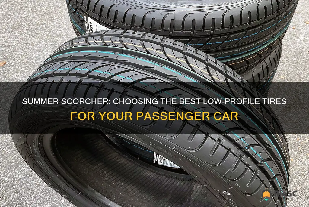 best tires for summer passenger car low profile