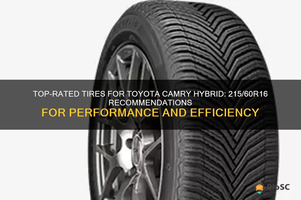 best tires for toyota camry hybrid 215 60r16