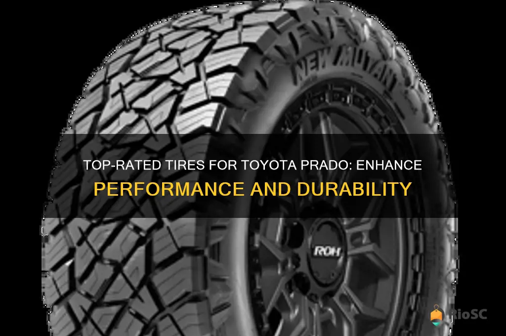 best tires for toyota prado