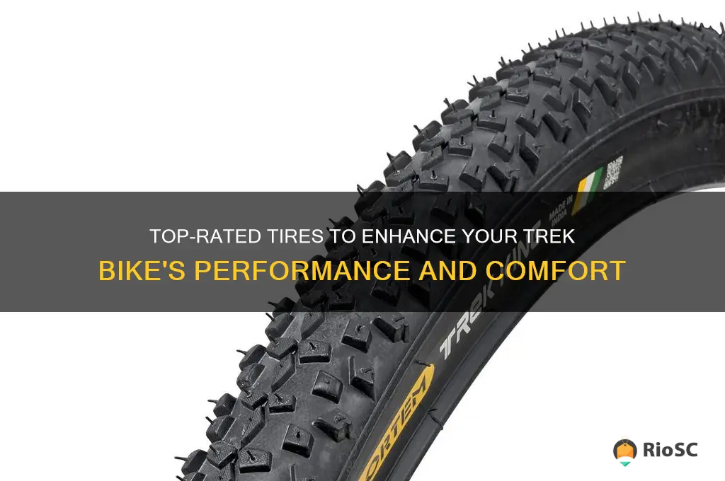 best tires for trek bike