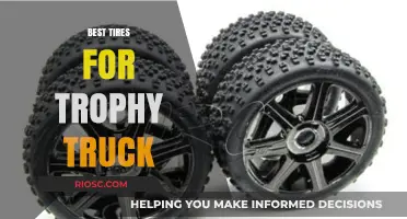 Top-Performing Tires for Trophy Trucks: Enhance Your Off-Road Dominance