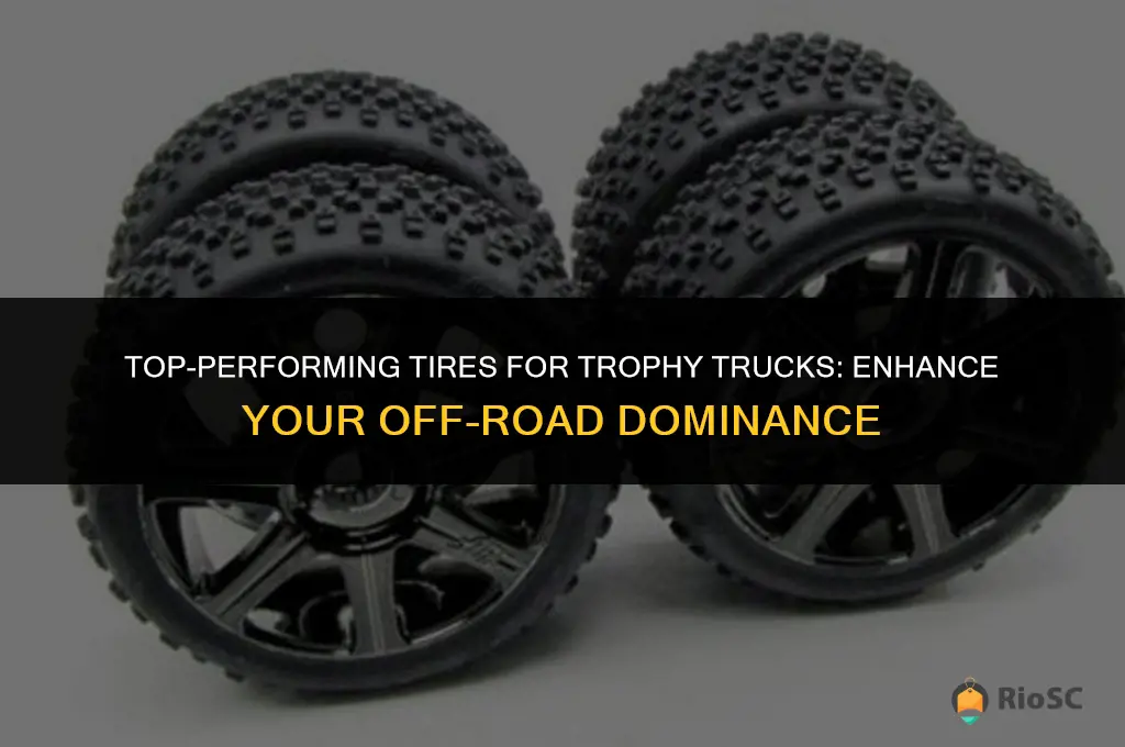 best tires for trophy truck