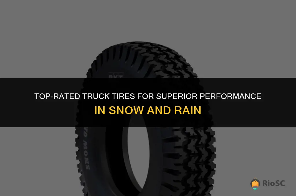 best tires for trucks in the snow and rain