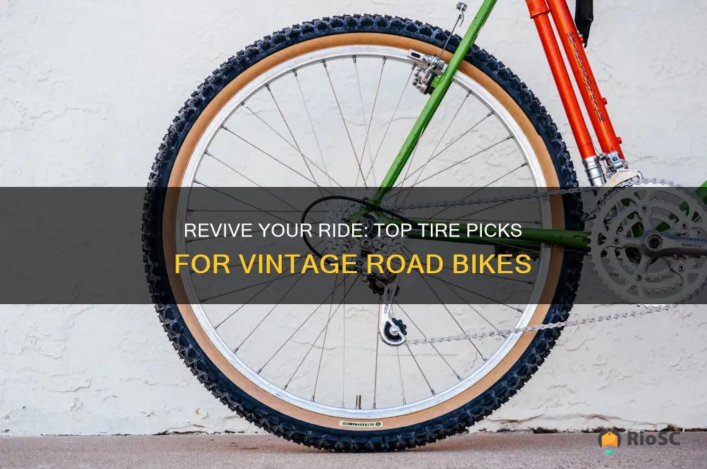 best tires for vintage road bike