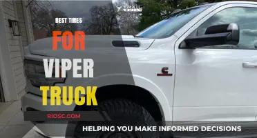 Top-Rated Tires for Viper Trucks: Enhance Performance and Durability on Any Terrain