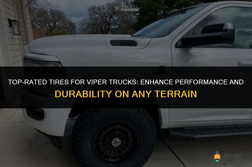 best tires for viper truck