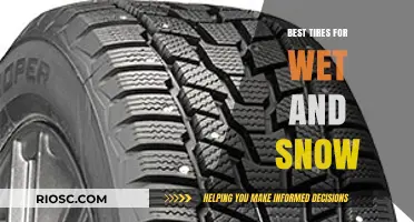 Top-Rated Tires for Wet and Snowy Conditions: Stay Safe on the Road
