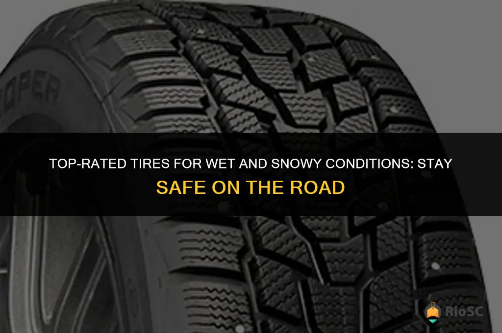 best tires for wet and snow