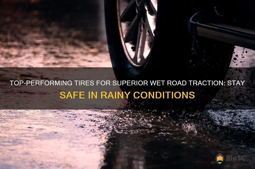 best tires for wet road traction