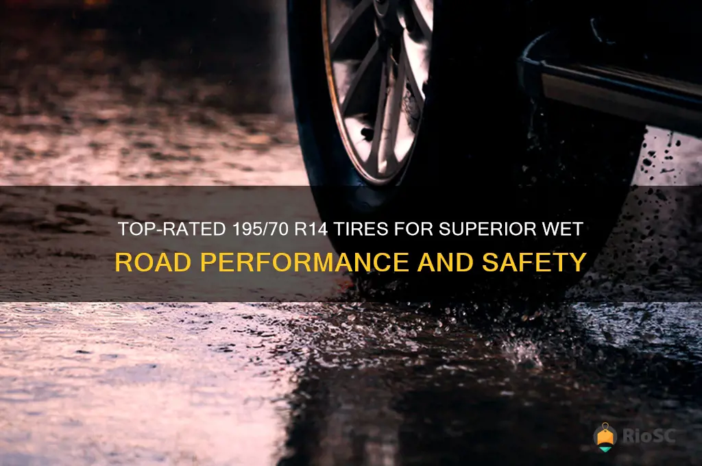 best tires for wet roads 195 70 r14