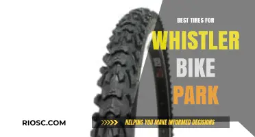 Top-Rated Tires for Dominating Whistler Bike Park's Trails