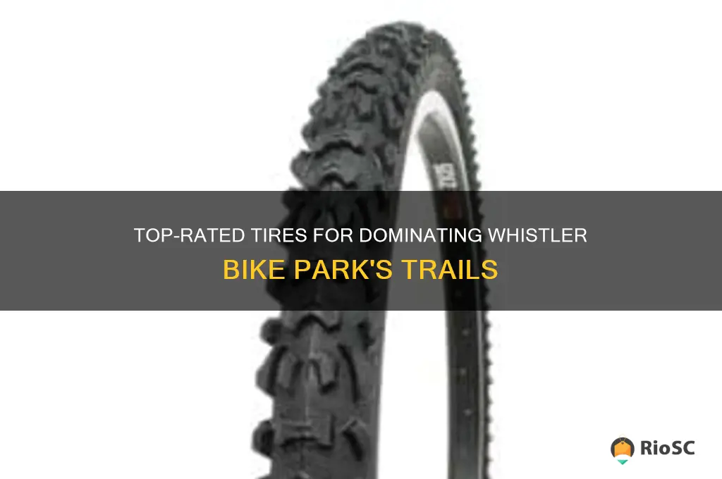 best tires for whistler bike park