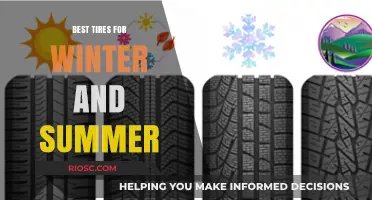 All-Season Excellence: Top Tires for Winter and Summer Performance