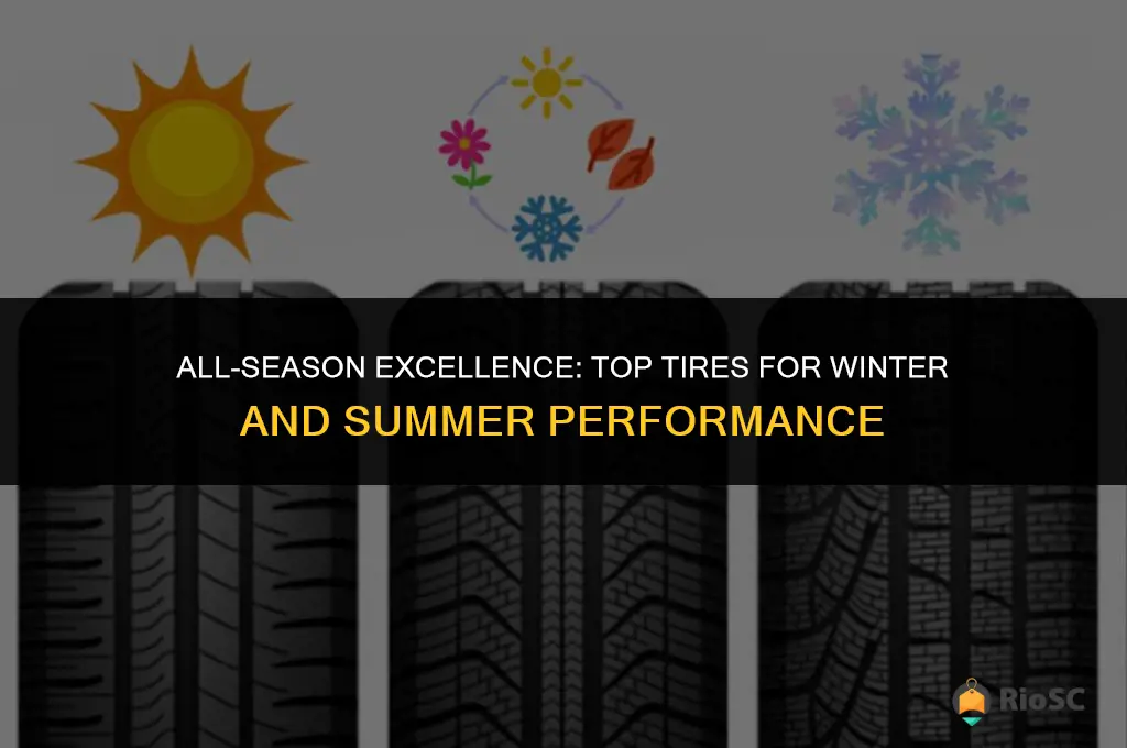 best tires for winter and summer