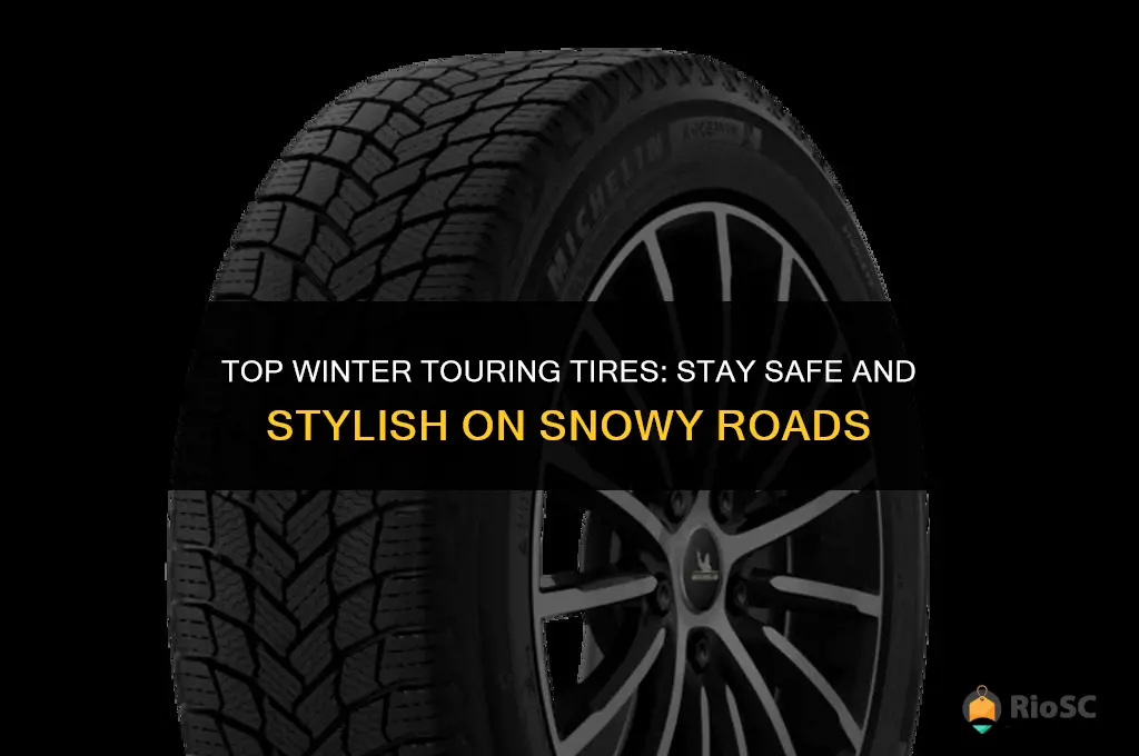 best tires for winter touring