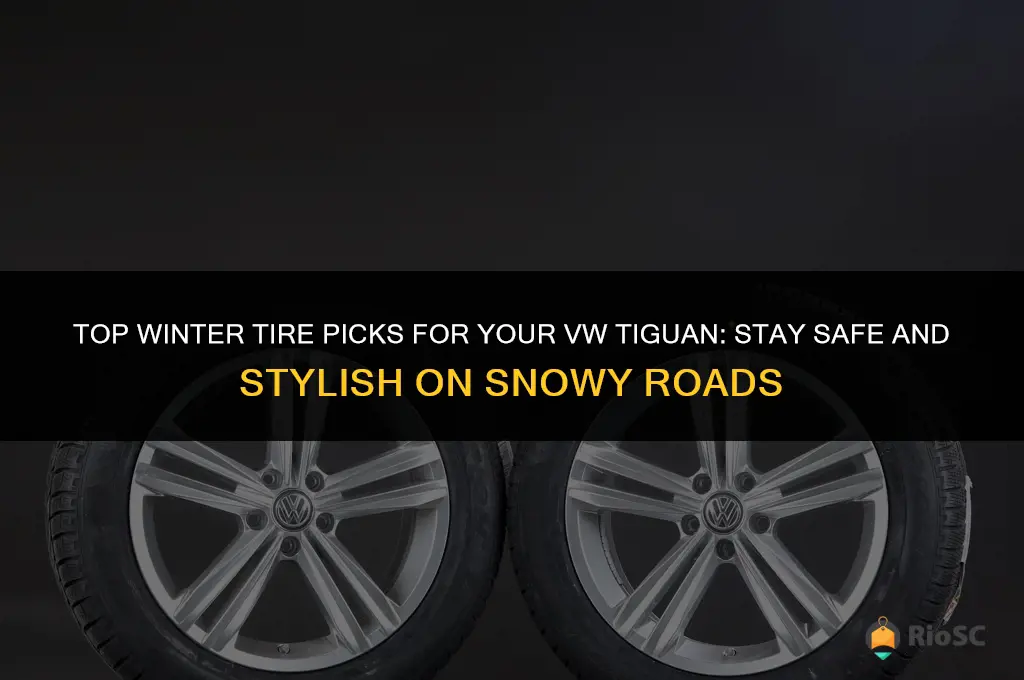 best tires for winter vw tiguan