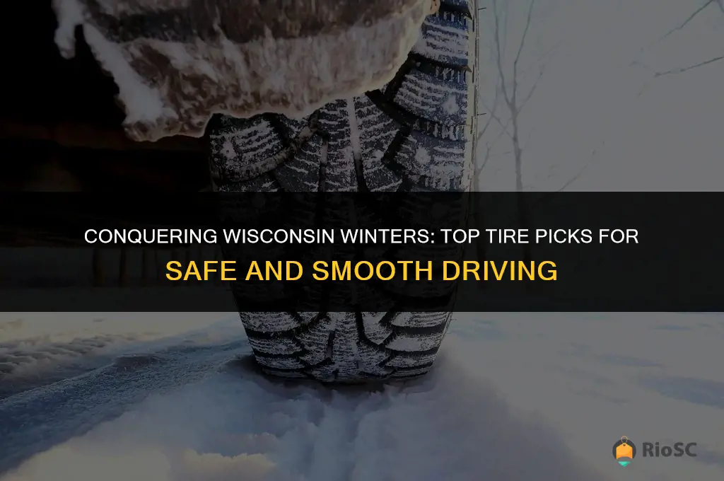 best tires for wisconsin winter