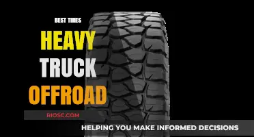 Top-Rated Off-Road Tires for Heavy Trucks: Durability Meets Performance