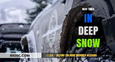 Conquering Winter's Grip: Top Tires for Deep Snow Performance