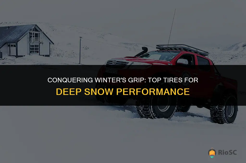 best tires in deep snow