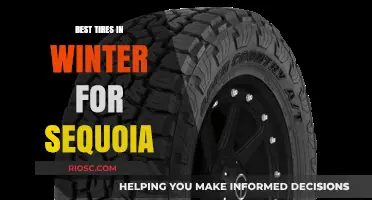 Top Winter Tire Picks for Your Sequoia: Stay Safe and Warm on the Road
