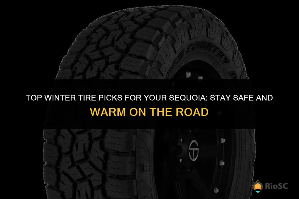 best tires in winter for sequoia