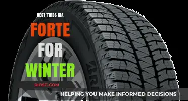 Top Winter Tire Picks for Your Kia Forte: Stay Safe and Stylish on Snowy Roads