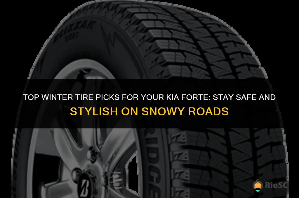best tires kia forte for winter