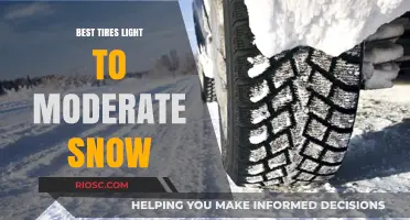 Top Picks for Winter Wheels: Best Tires for Light to Moderate Snow Conditions