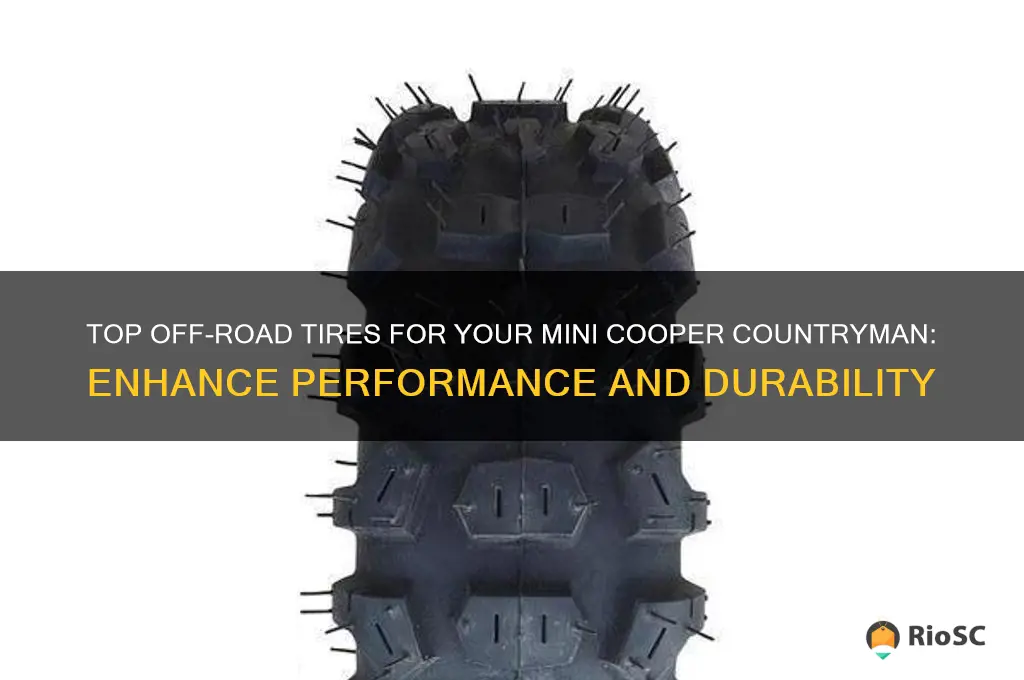 best tires on off road mini cooper countryman