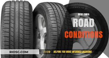 Top Tires for Every Road Condition: A Comprehensive Guide to Safe and Smooth Driving