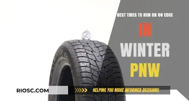 Top Winter Tire Picks for Your 2008 Edge in the Pacific Northwest
