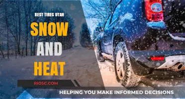 Utah's Top Tire Choices: Balancing Snow and Heat Performance