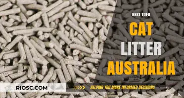 Top-Rated Tofu Cat Litter Options in Australia: Eco-Friendly and Odor-Control Solutions
