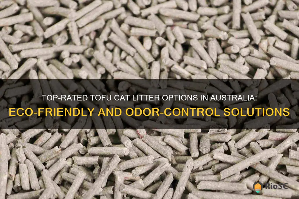 best tofu cat litter australia