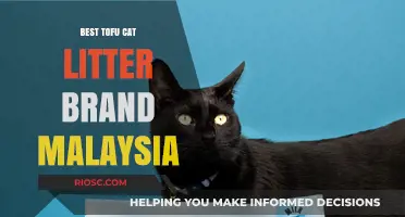 Top-Rated Tofu Cat Litter Brands in Malaysia: Eco-Friendly and Odor-Free Solutions for Your Feline Friend