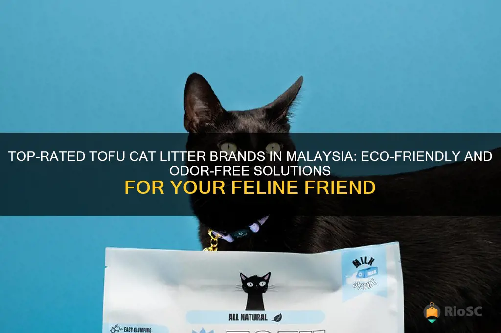 best tofu cat litter brand malaysia